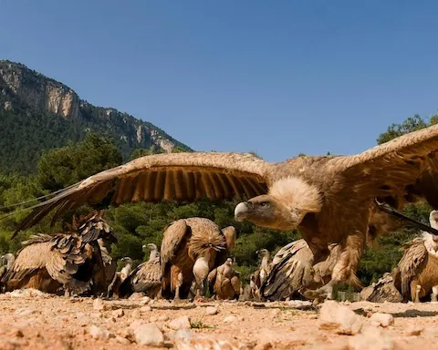Escursione di trekking di 4 giorni a Matarraña e Parco Naturale dels Ports