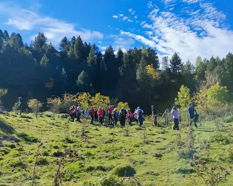 Caminhada no Ripollès: Setcases - Camprodon