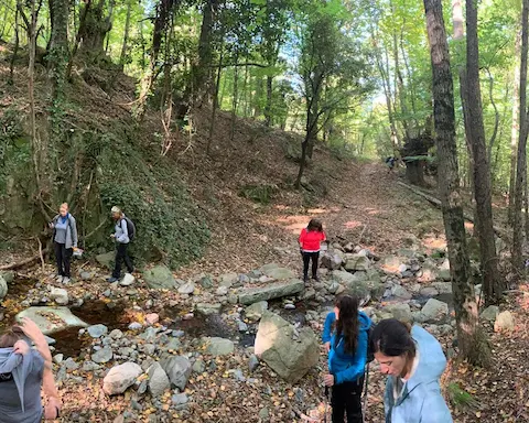 Senderismo por los bosques de Viladrau con degustación gastronómica