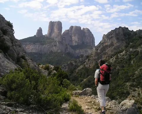 Le Stelle del Sud