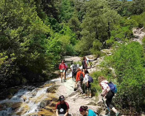 Senderismo al Gorg Negre y Salt de Gualba en el Montseny