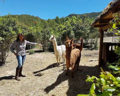 Tour privado de cata de vinos ecológicos en el Penedès