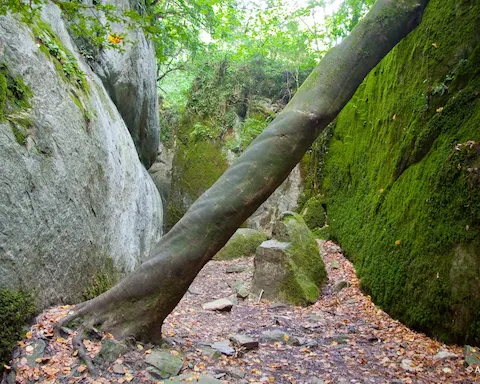 Ruta secreta por los Bufadors de Beví y Santa Maria de Besora